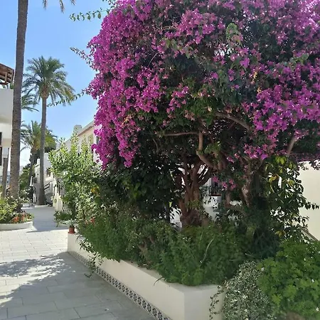 Apartment Casa La Marina Alcoceber